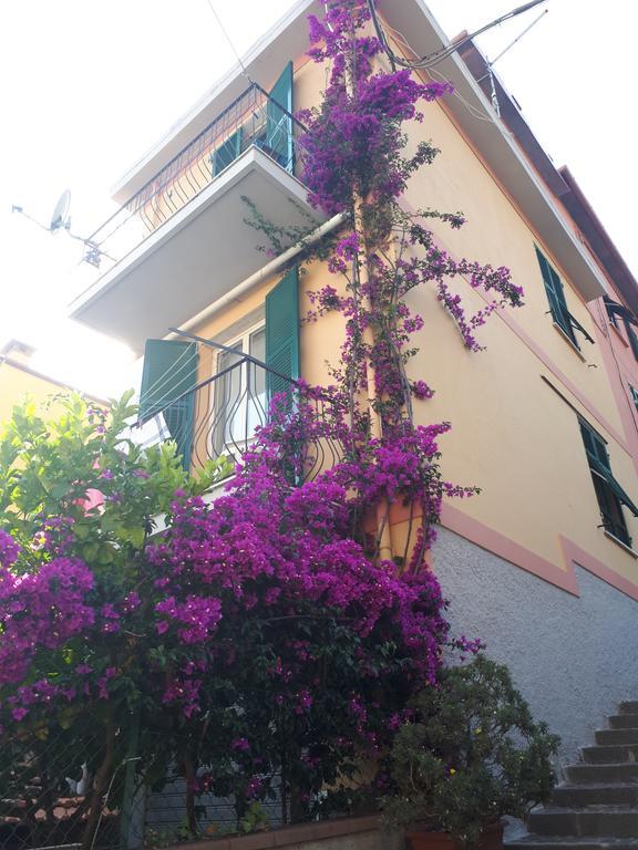 Da Rita Apartment San Terenzo Exterior photo